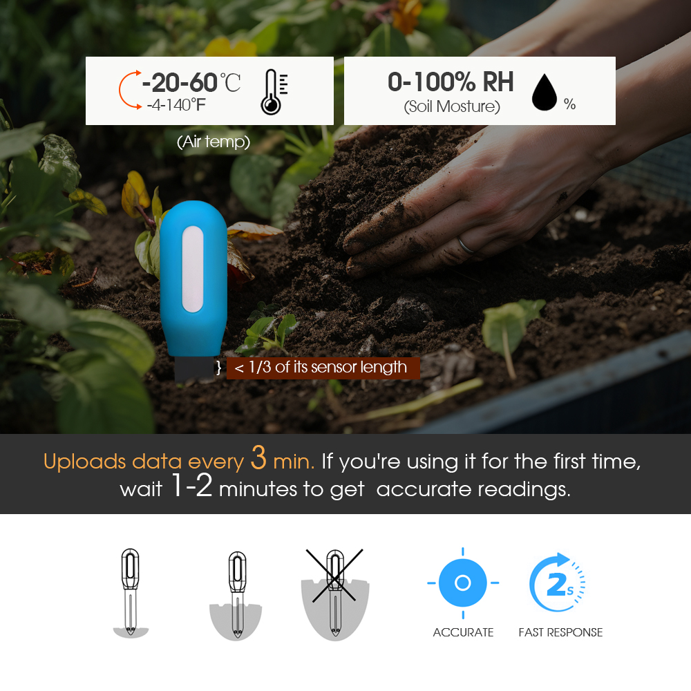Sensore intelligente del terre - Smart Garden Greenhouse recensione e prezzo