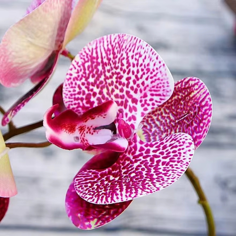 Fiori artificiali 3D Farfalla  - Smart Garden Storage recensione e prezzo