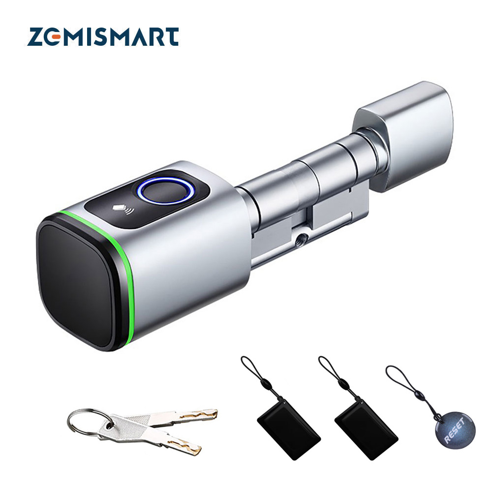 Zemismart BLE Serratura elettr - Smart Garden Gate Lock recensione e prezzo