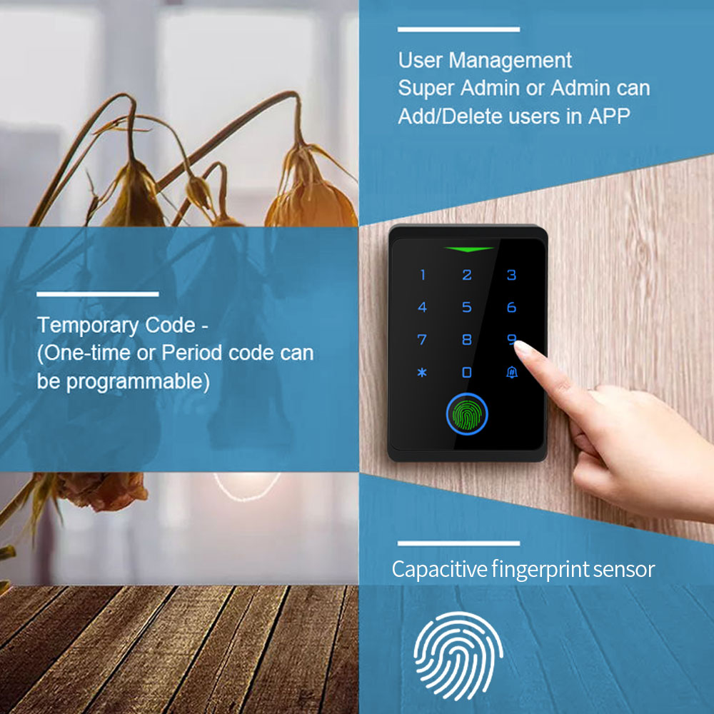 Tuya WIFI Kit di controllo acc - Smart Garden Gate Lock recensione e prezzo